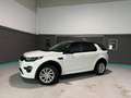 Land Rover Discovery Sport 2.0TD4 HSE 4x4 Aut. 180 Weiß - thumbnail 2