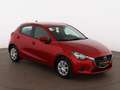 Mazda 2 1.5 SKYACTIV-G 75 Prime-Line TEMPOMAT KLIMA Rot - thumbnail 4