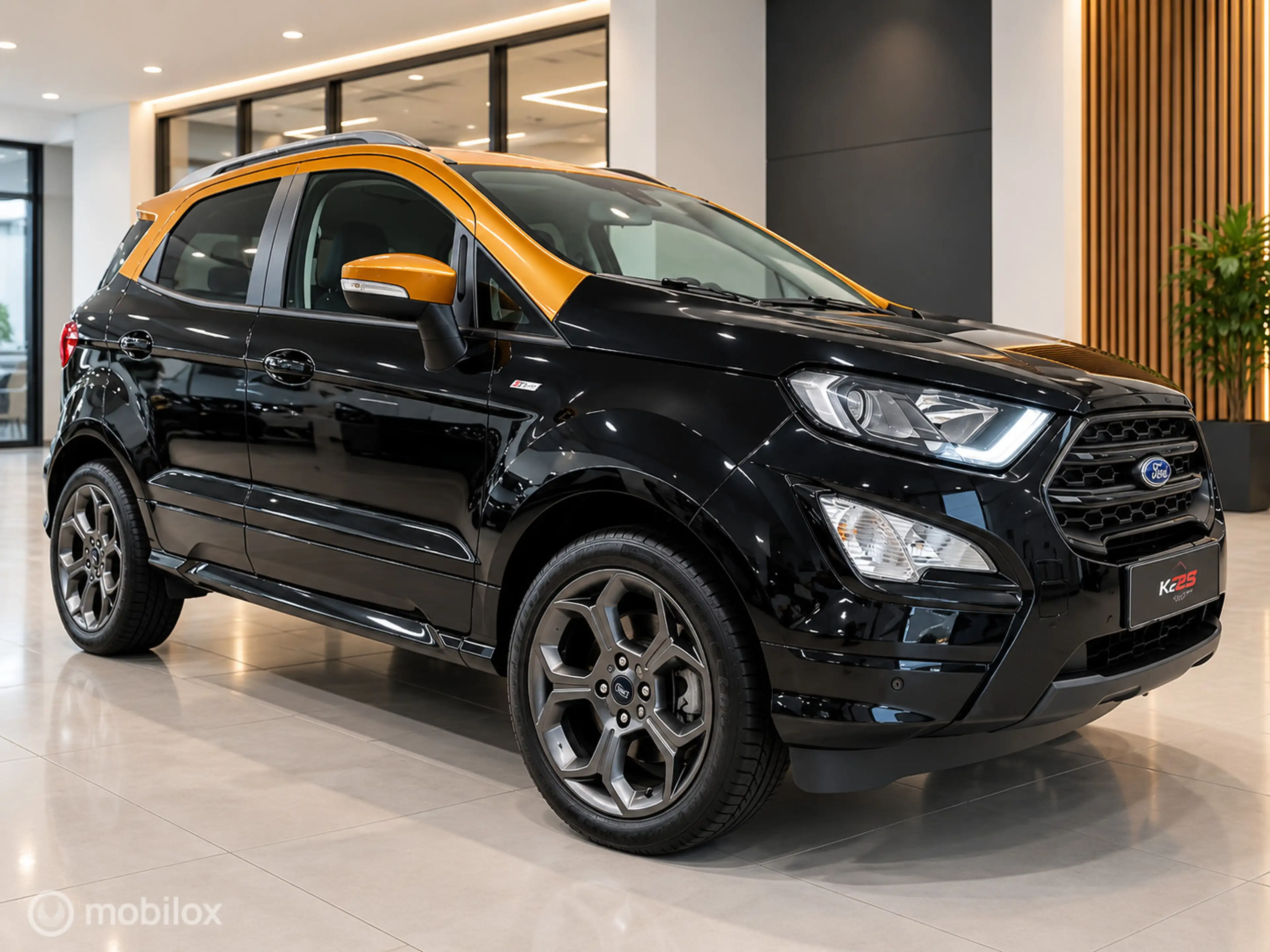 Ford EcoSport 1.0 EcoBoost ST-LINE NW DISTRIBUTIERIEM TREKHAAK L