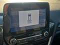 Ford Fiesta 1.0 Ecoboost Hybrid 125 CV 5 porte Active Schwarz - thumbnail 24