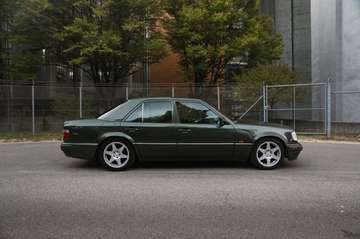 Limited *Oak Green / MB Classic / one-off*