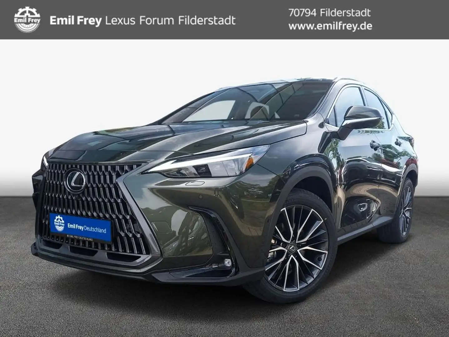 Lexus NX350h 4x4 Luxury Line + Panorama Modell2025 NX350 Grün - 1