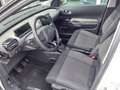 Citroen C4 Cactus 1.2 e-THP PureTech110 Shine Stop&Start Weiß - thumbnail 8