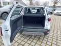 Ford EcoSport 1.0 Titanium AHK*LED*NAVI*TWA*SHZ*PDC*CAM Blanc - thumbnail 27