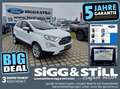 Ford EcoSport 1.0 Titanium AHK*LED*NAVI*TWA*SHZ*PDC*CAM Blanc - thumbnail 1
