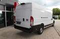 Fiat Ducato 35 L5H2 180 Multijet Maxi AT8/KAMERA/LED Weiß - thumbnail 4