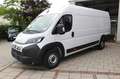 Fiat Ducato 35 L5H2 180 Multijet Maxi AT8/KAMERA/LED Weiß - thumbnail 3