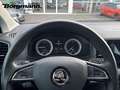 Skoda Karoq Style 1,5TSI DSG Rückfahrkamera - Keyless Go - DAB Gris - thumbnail 15