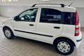 Fiat Panda 2ª serie 1.2 Dynamic 69 CV NEOPATENTATO Bianco - thumbnail 7