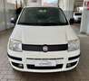 Fiat Panda 2ª serie 1.2 Dynamic 69 CV NEOPATENTATO Bianco - thumbnail 2
