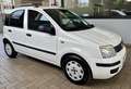 Fiat Panda 2ª serie 1.2 Dynamic 69 CV NEOPATENTATO Bianco - thumbnail 3