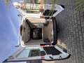 Ford Transit 350 L2 Trend KLIMA*SICHT-PAKET* Weiß - thumbnail 11