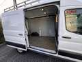 Ford Transit 350 L2 Trend KLIMA*SICHT-PAKET* Weiß - thumbnail 12