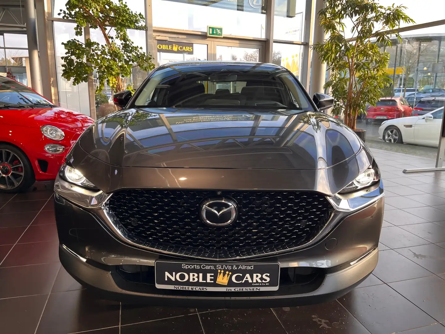 Mazda CX-30 Selection AWD AHK 360° MATRIX LED NAV 18" Gris - 2