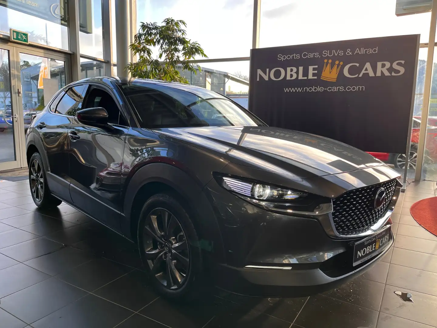 Mazda CX-30 Selection AWD AHK 360° MATRIX LED NAV 18" Gris - 1