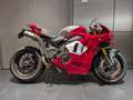 Ducati Panigale V4 R R-LIVERY  2024 Rojo - thumbnail 4