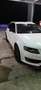 Audi A4 allroad A4  Allroad Quattro 3.0 V6 tdi s-tronic Bianco - thumbnail 4