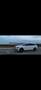 Audi A4 allroad A4  Allroad Quattro 3.0 V6 tdi s-tronic Bianco - thumbnail 5
