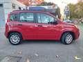 Fiat Panda OCCASIONE! Oro - thumbnail 6