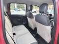Fiat Panda OCCASIONE! Oro - thumbnail 12