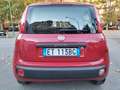 Fiat Panda OCCASIONE! Oro - thumbnail 4