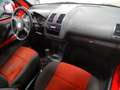 Volkswagen Lupo 1.4 TDI Highline 75 CV neopatentati Rot - thumbnail 8