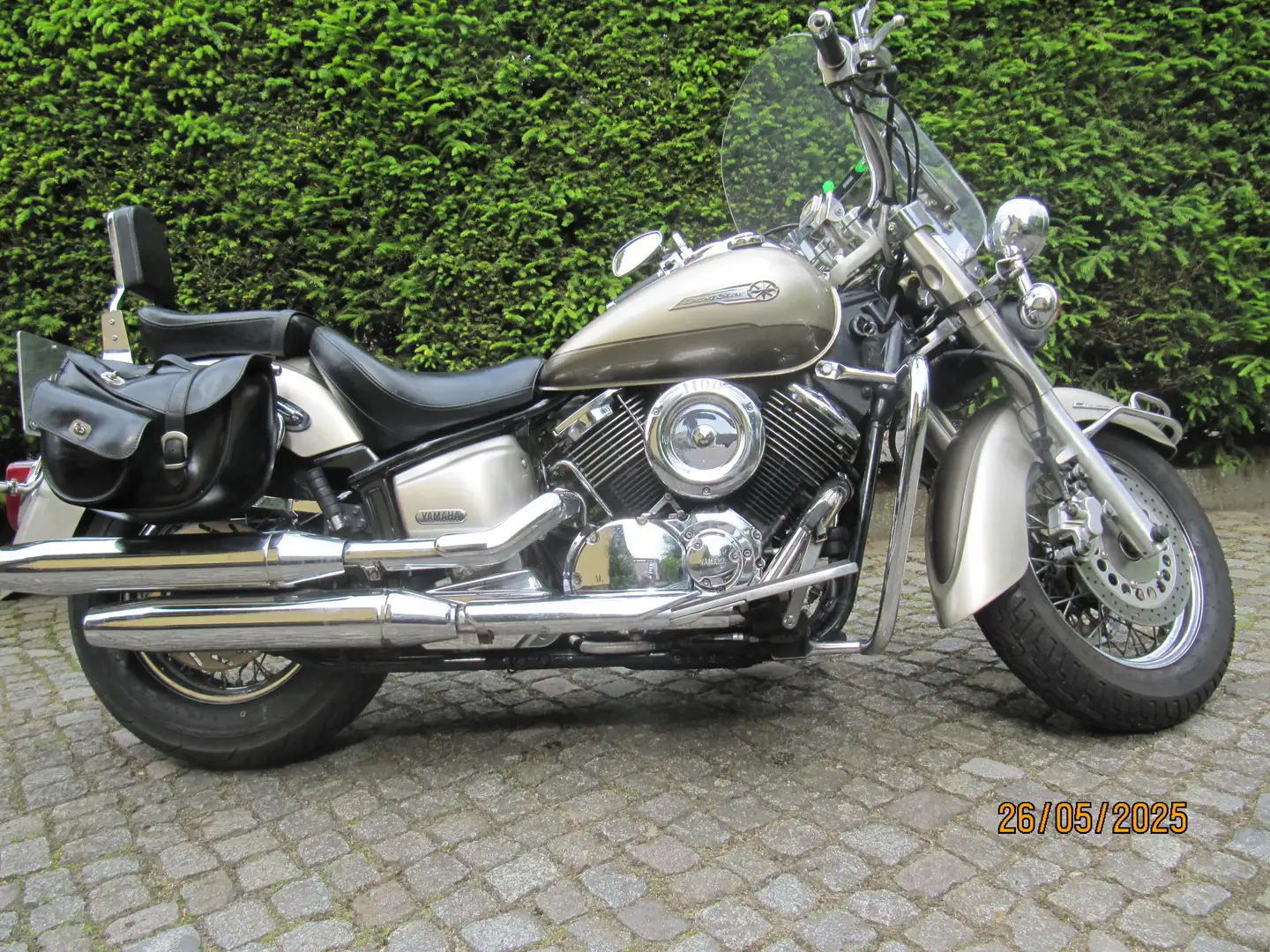 Yamaha XVS 1100 XVS 1100 A VP16 DragStar Classic Gri - 2