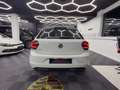 Volkswagen Polo 1.6 TDI 80 SS BVM5 Trendline Weiß - thumbnail 5