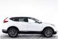 Honda CR-V 2.0 e:HEV Business Edition | AUTOMAAT | APPLE CARP Bianco - thumbnail 7