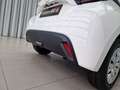 Mazda 2 Hybrid 1.5L 116PS AT WD Prime - Line AUT Weiß - thumbnail 12