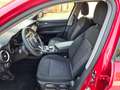 Alfa Romeo Stelvio Stelvio 2.2 Turbodiesel 160 CV AT8 RWD Business Rouge - thumbnail 6