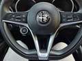 Alfa Romeo Stelvio Stelvio 2.2 Turbodiesel 160 CV AT8 RWD Business Rouge - thumbnail 13