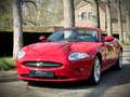 Jaguar XK 4.2 V8 Convertible / 1 OWNER / SALSA RED / XK SPEC Rood - thumbnail 8