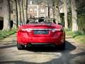 Jaguar XK 4.2 V8 Convertible / 1 OWNER / SALSA RED / XK SPEC Rood - thumbnail 7