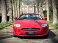 Jaguar XK 4.2 V8 Convertible / 1 OWNER / SALSA RED / XK SPEC Rood - thumbnail 6