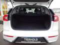 Kia Niro 1,6 Spirit Plug-in Hybrid Technologie Leder Blanc - thumbnail 21