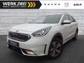 Kia Niro 1,6 Spirit Plug-in Hybrid Technologie Leder Білий - thumbnail 1