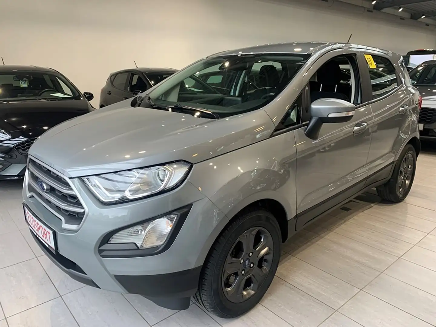 Ford EcoSport 1.0 Ecoboost 100PK Connected Winterpack Gris - 1