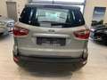 Ford EcoSport 1.0 Ecoboost 100PK Connected Winterpack Gris - thumbnail 3