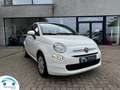 Fiat 500 FIAT 1.0 70 PK HYBRIDE SS CULT Blanc - thumbnail 1
