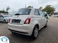 Fiat 500 FIAT 1.0 70 PK HYBRIDE SS CULT Blanc - thumbnail 14
