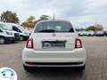 Fiat 500 FIAT 1.0 70 PK HYBRIDE SS CULT Blanc - thumbnail 9