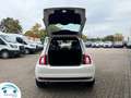 Fiat 500 FIAT 1.0 70 PK HYBRIDE SS CULT Blanc - thumbnail 13