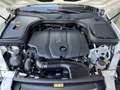 Mercedes-Benz GLC 220 220d 4Matic Aut. Blanco - thumbnail 49