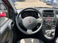 Fiat Panda 1.2 8V Dynamic Rot - thumbnail 14
