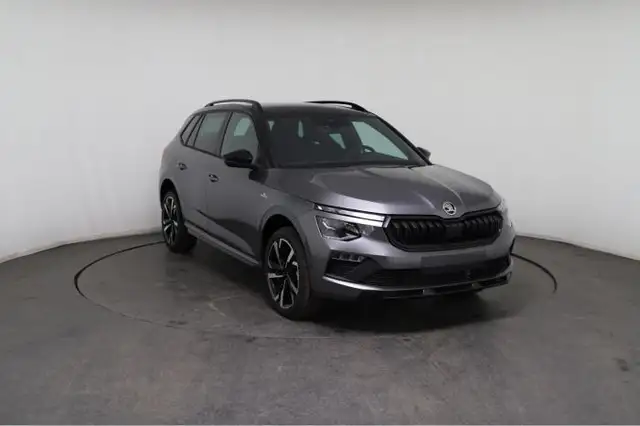 Skoda Kamiq view 10