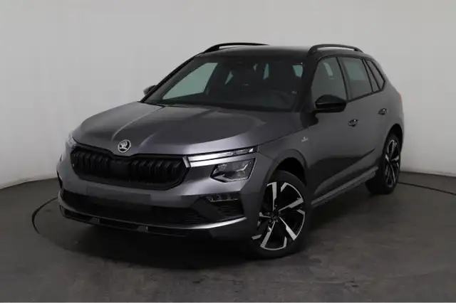 Skoda Kamiq main image