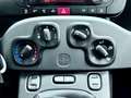 Fiat Panda Panda 1.0 firefly hybrid City Life s Blanc - thumbnail 13