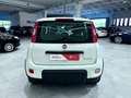 Fiat Panda Panda 1.0 firefly hybrid City Life s Blanc - thumbnail 5