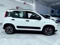 Fiat Panda Panda 1.0 firefly hybrid City Life s Blanc - thumbnail 7